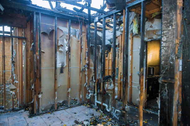 Professional Fire Damage Removal technician working in Saint Paul Park, MN